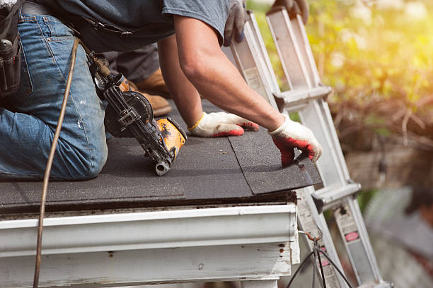 Best Shingle Roofing Installation  in Meeker, CO