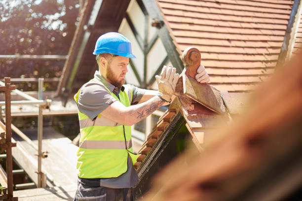 Best Roof Leak Repair  in Meeker, CO