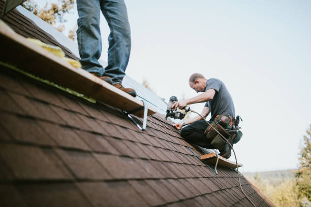 Best Roof Repair Services  in Meeker, CO
