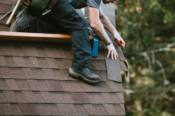 Best Metal Roofing Contractor  in Meeker, CO